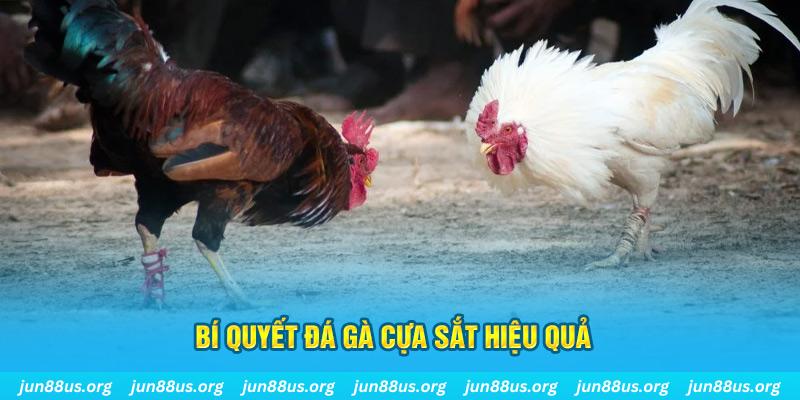 8x bet nổ hũ may mắn