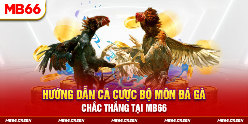 8x bet xổ số miền nam hôm nay