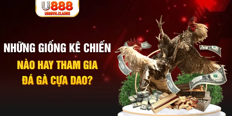8x bet BG Trực Tuyến