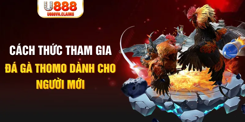 8x bet truc tiep da ga