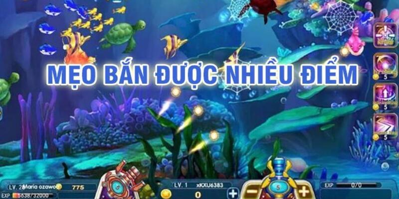 8x bet baccarat có lừa đảo không