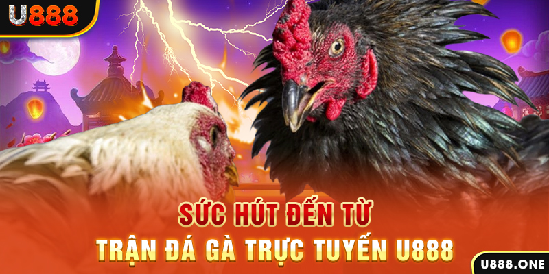 8x bet đăng nhập poker 2024