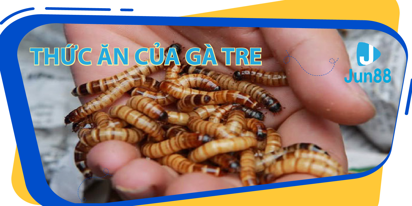 8x bet ban ca 30