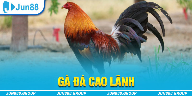 8x bet tai game vua bai ve may tinh