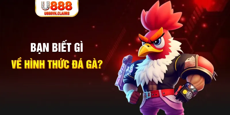 8x bet đăng nhập liêng tặng tiền