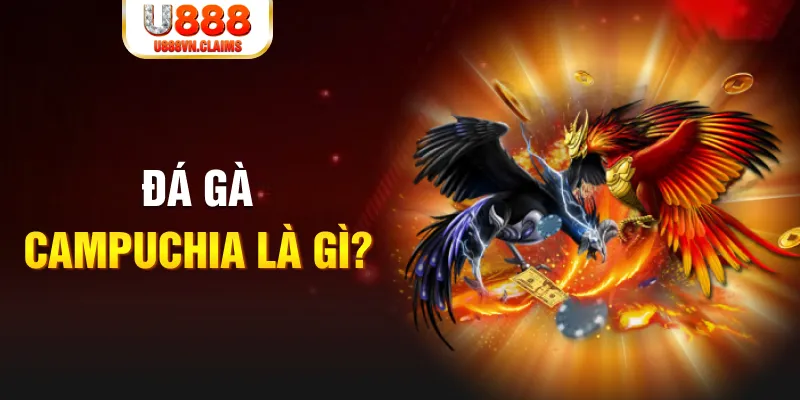 8x bet what is the best online casino for real money