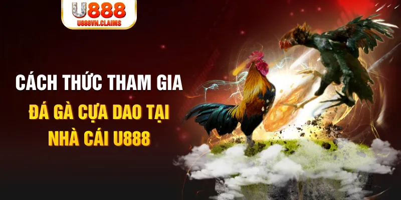 8x bet đá gà 88.com