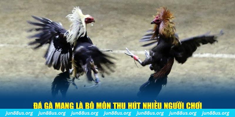 8x bet đăng nhập sòng bạc số 1