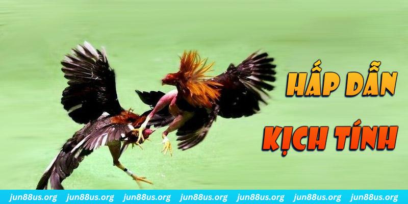 8x bet xổ số miền nam thứ sáu