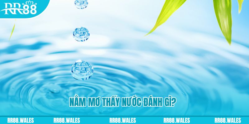 8x bet xổ số trực tiếp miền bắc