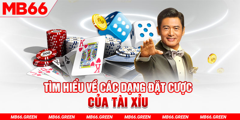8x bet what is a casino loyalty program