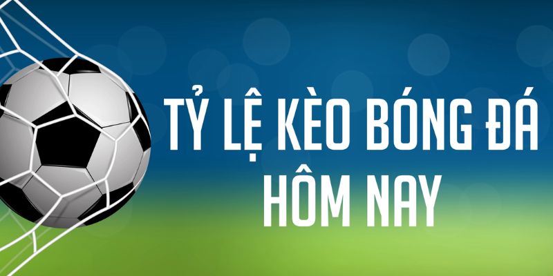 8x bet đăng nhập phỏm