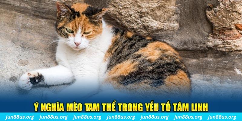 8x bet máy slot game là loại trò chơi gì？