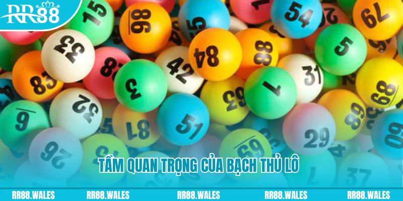 8x bet đăng nhập sòng bạc live