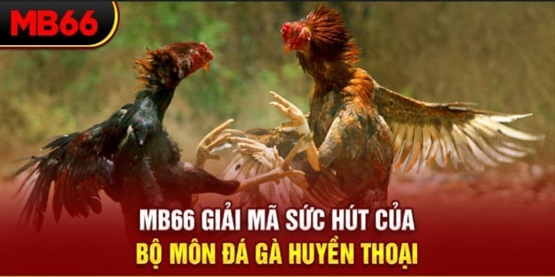 8x bet xổ số đài bắc