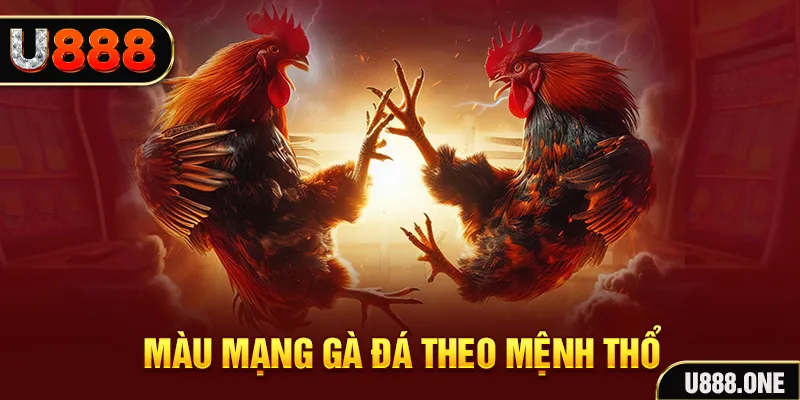 8x bet đăng nhập liêng hàng đầu