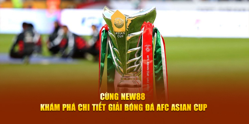 8x bet slot là gì dịch