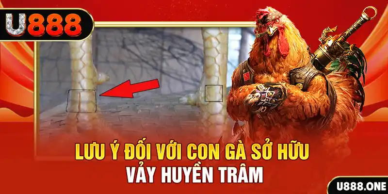 8x bet tải game đánh bài tiến lên miền nam về máy tính