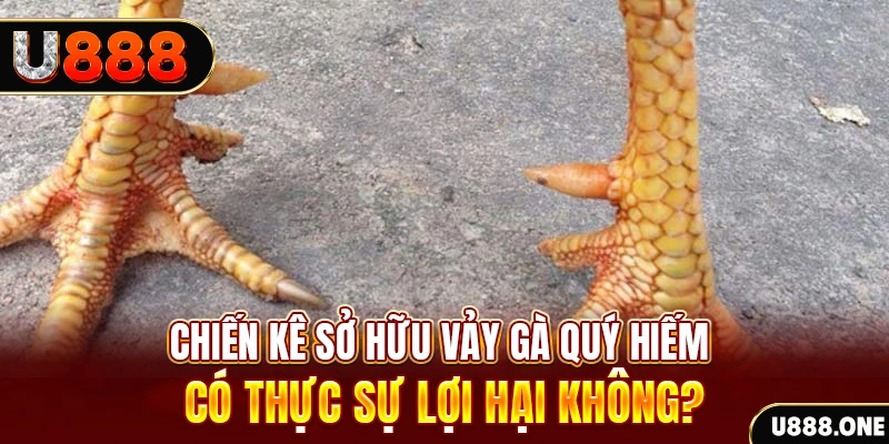 8x bet xổ số miền trung