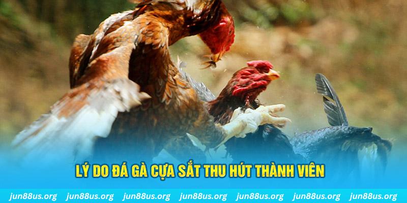 8x bet nổ hũ ăn bao nhiêu