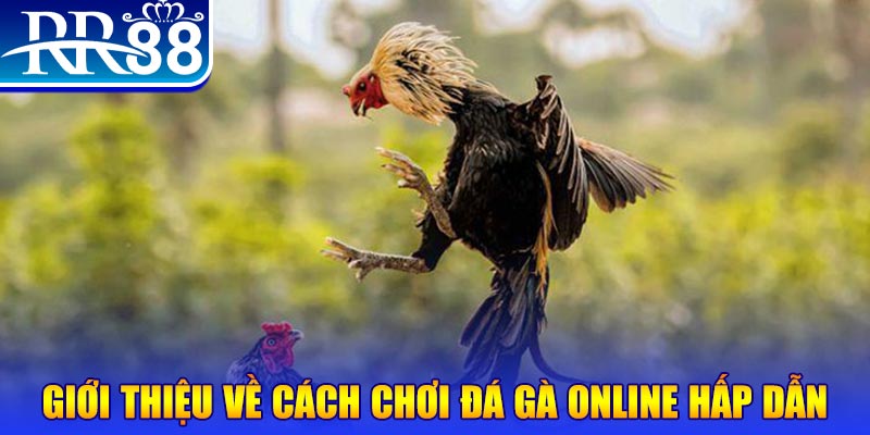 8x bet bắn cá h5 là gì