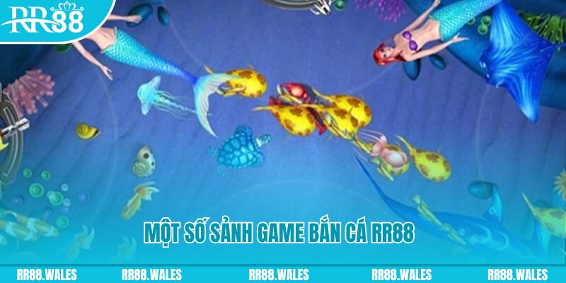 8x bet MT Trực Tuyến