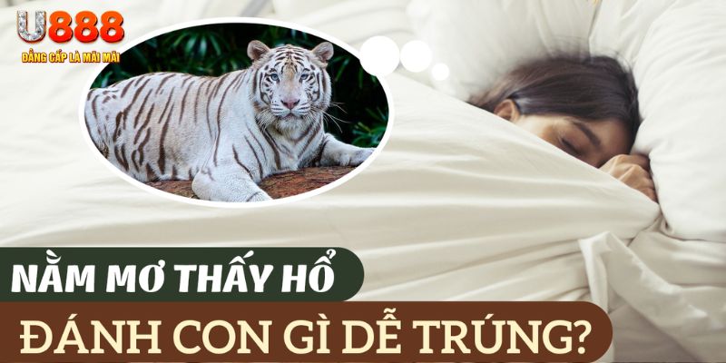 8x bet nohu .mx nổ hủ là gì