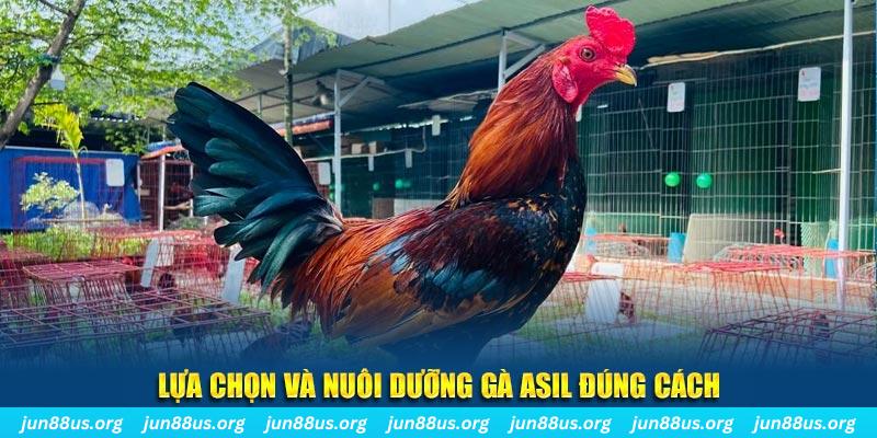 8x bet nổ hũ thần tài là gì