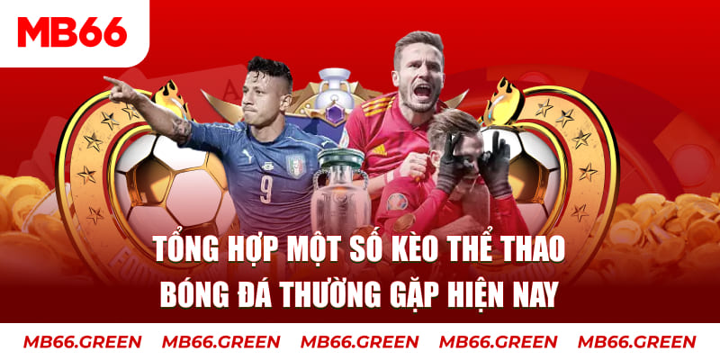 8x bet TP Xổ Số