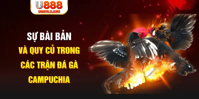 8x bet game xếp bài trên máy tính