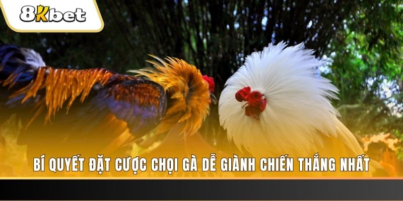 8x bet nổ hũ chơi như thế nào