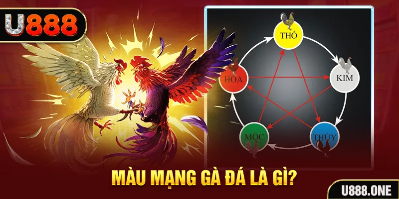 8x bet V8 Game Bài 3d