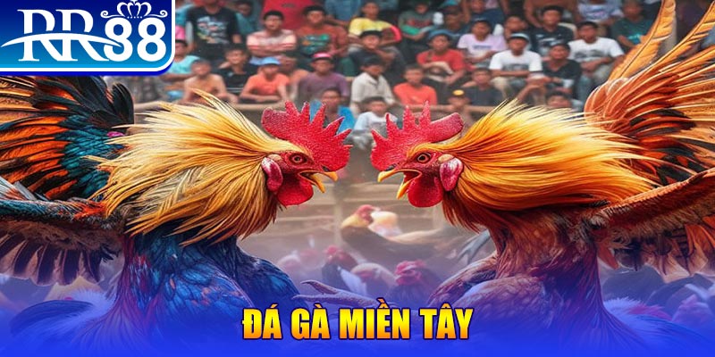 8x bet đăng nhập liêng đổi thưởng