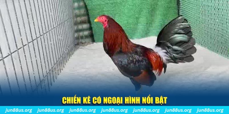 8x bet qq88 bắn cá
