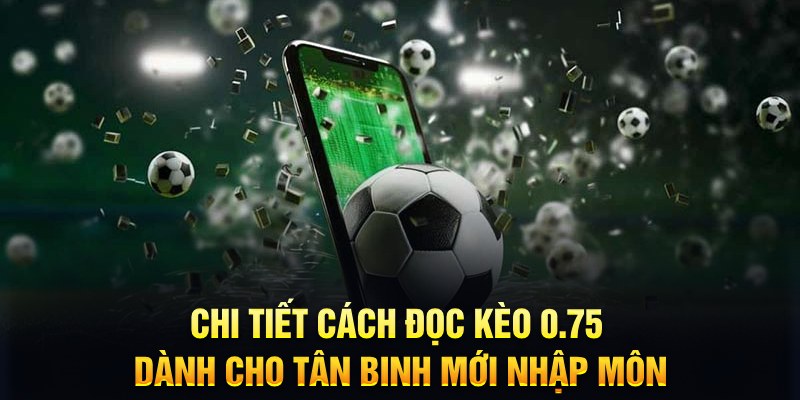 8x bet Xì tố