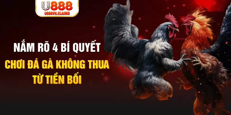 8x bet xổ số hà nội hôm nay