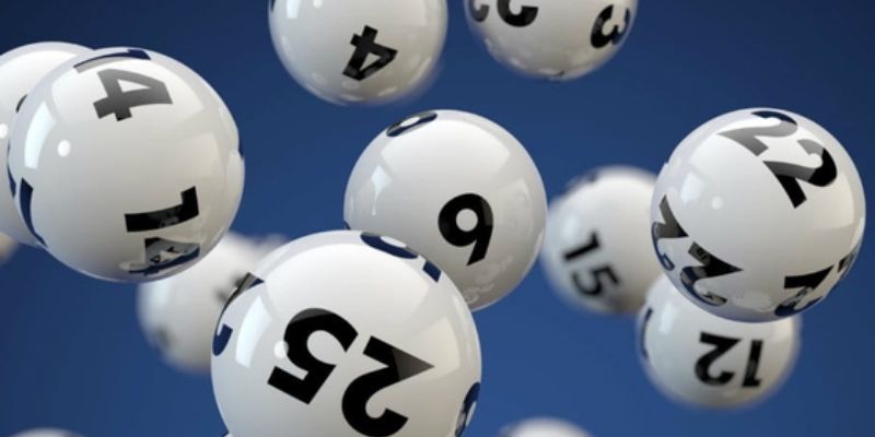 8x bet SW Xổ Số