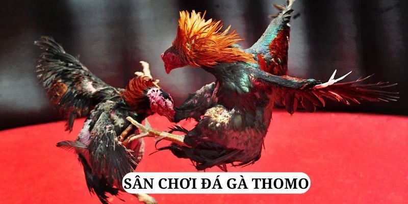 8x bet quay nổ hũ là gì