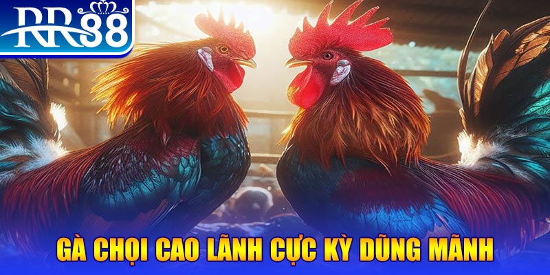 8x bet đăng nhập poker live